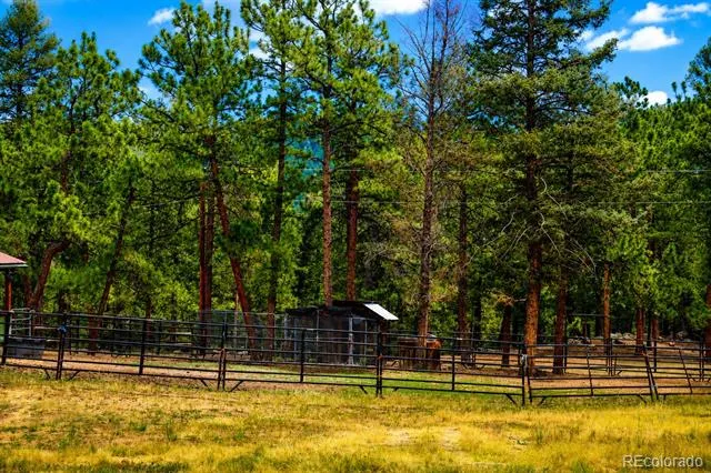 325 Road D Pine, CO 80470