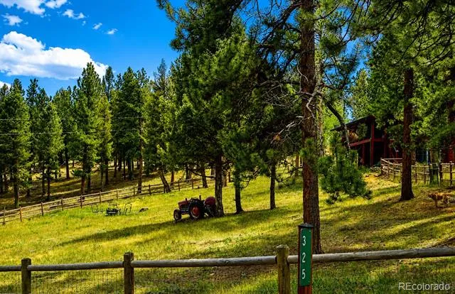 325 Road D Pine, CO 80470