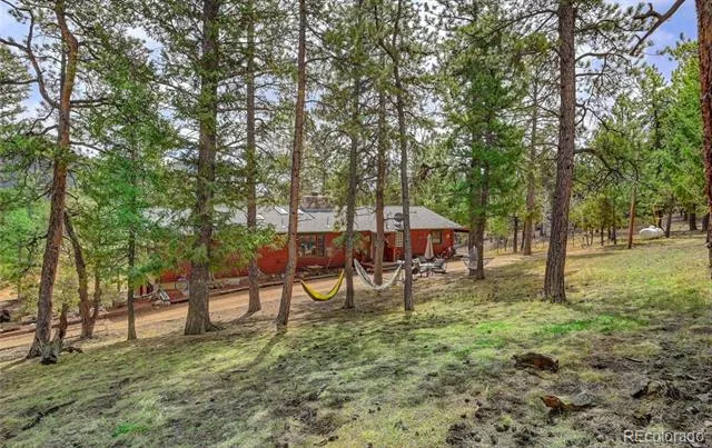 325 Road D Pine, CO 80470