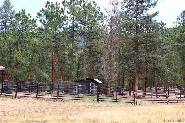 325 Road D Pine, CO 80470
