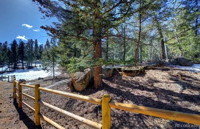 325 Road D Pine, CO 80470