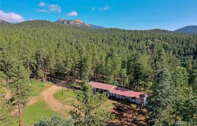 325 Road D Pine, CO 80470