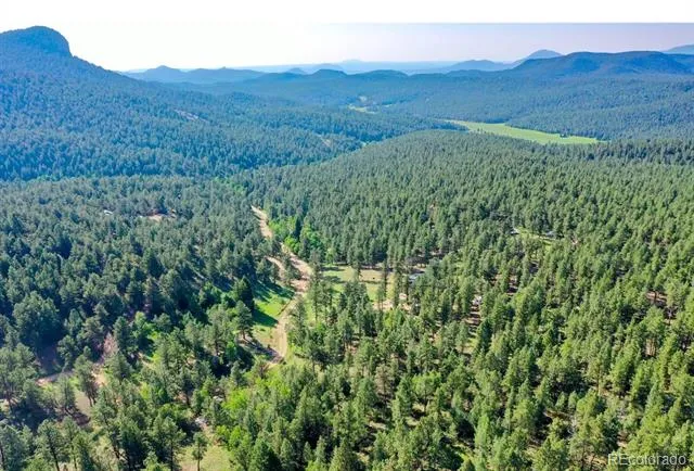 325 Road D Pine, CO 80470