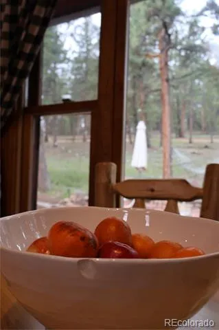 325 Road D Pine, CO 80470
