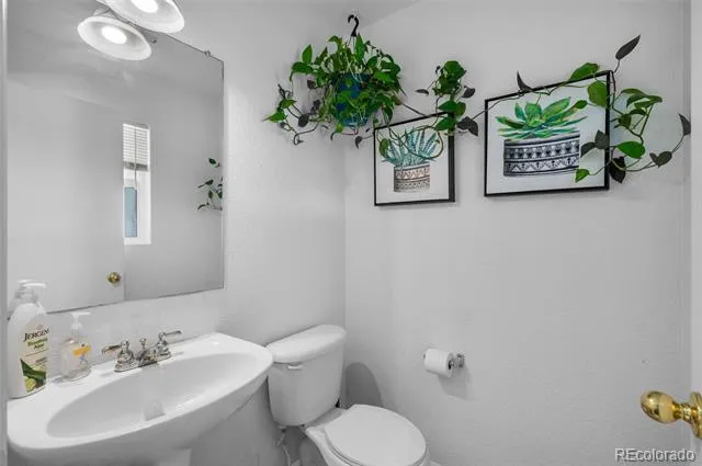10696 Butte Drive Longmont, CO 80504