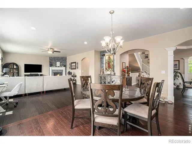 2163 Longfin Drive Windsor, CO 80550