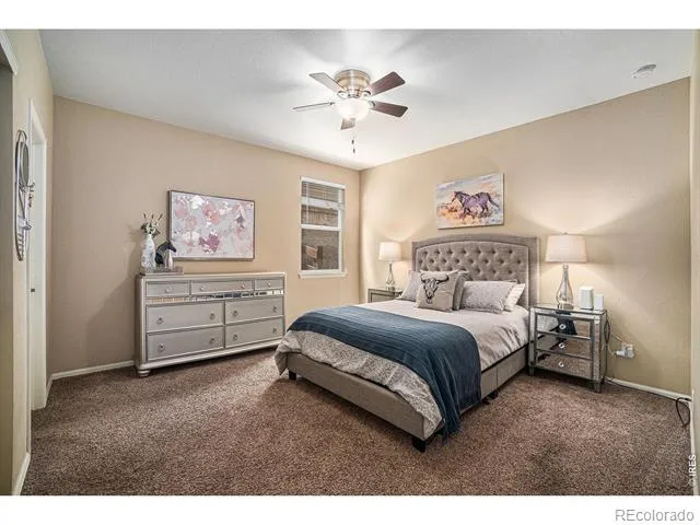 2163 Longfin Drive Windsor, CO 80550