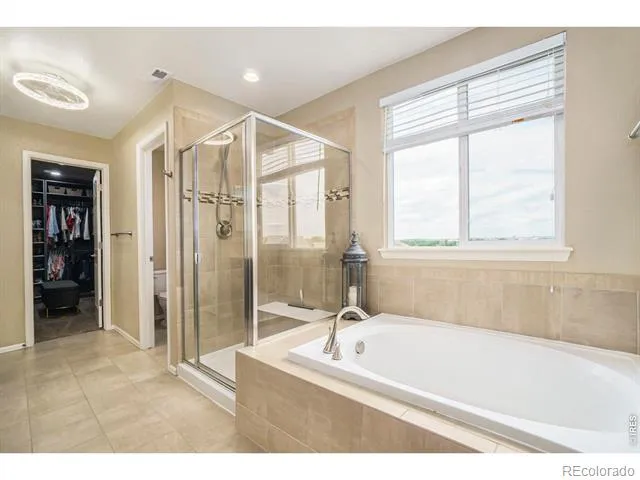2163 Longfin Drive Windsor, CO 80550