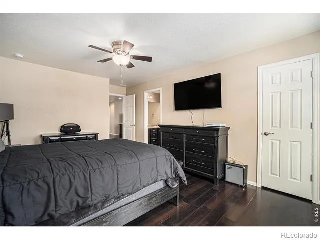 2163 Longfin Drive Windsor, CO 80550