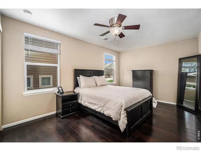 2163 Longfin Drive Windsor, CO 80550