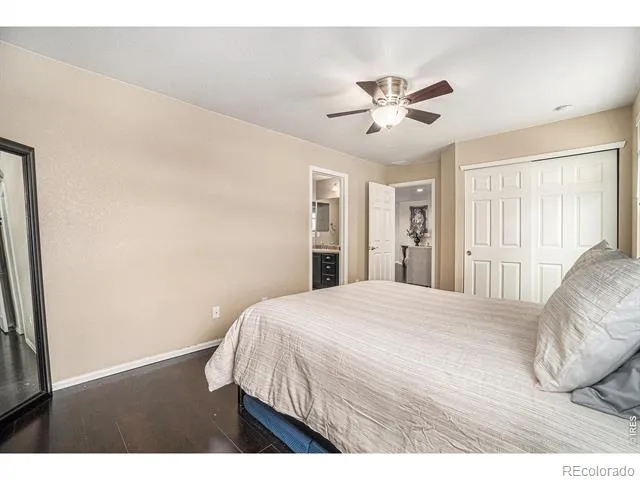 2163 Longfin Drive Windsor, CO 80550
