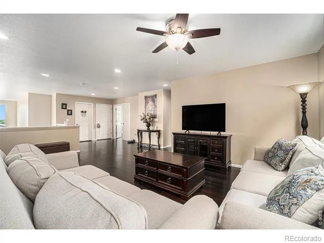 2163 Longfin Drive Windsor, CO 80550