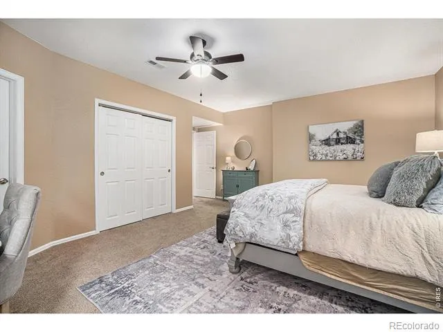 2163 Longfin Drive Windsor, CO 80550