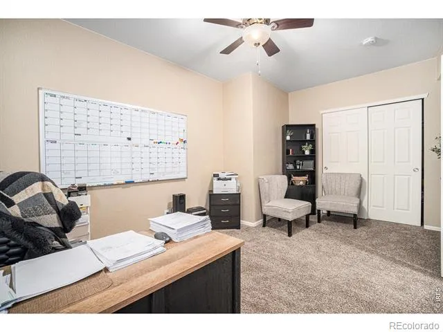 2163 Longfin Drive Windsor, CO 80550