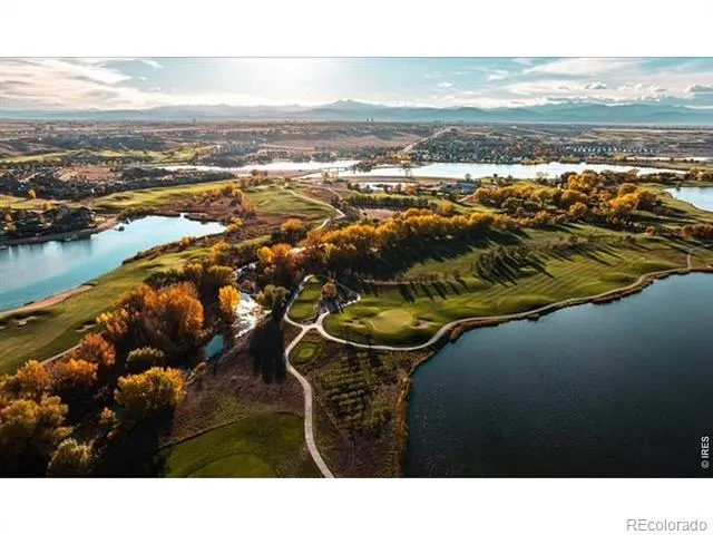 2163 Longfin Drive Windsor, CO 80550