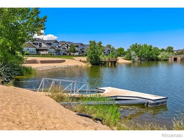 2163 Longfin Drive Windsor, CO 80550
