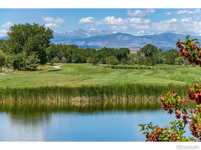 2163 Longfin Drive Windsor, CO 80550
