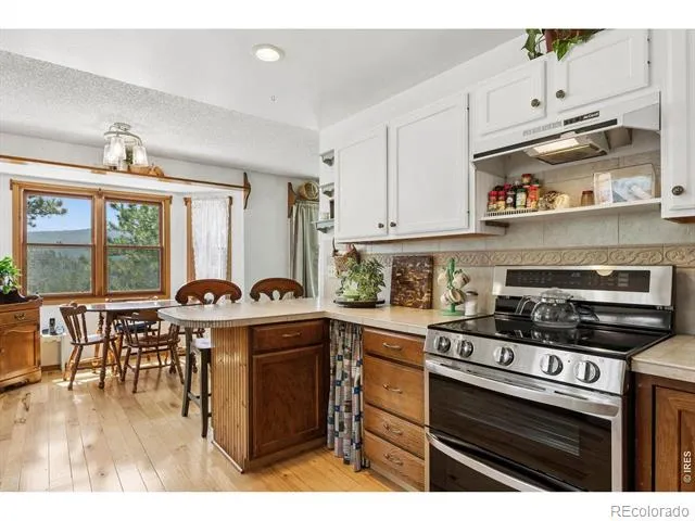 225 Hell Canyon Road Estes Park, CO 80517