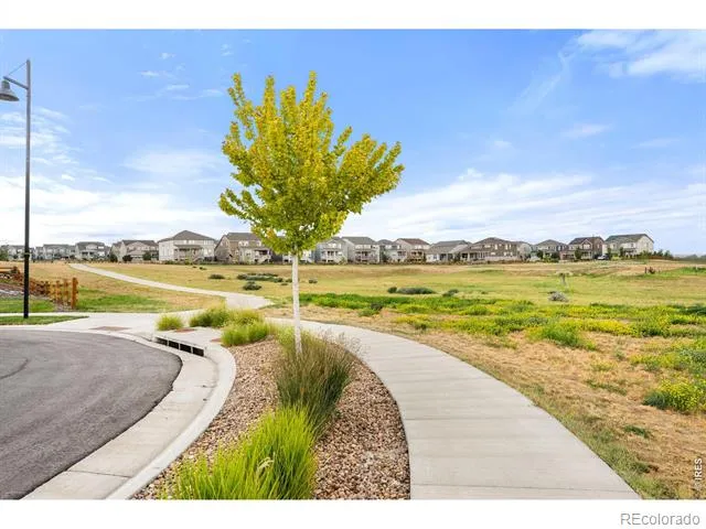 1884 Myron Court Erie, CO 80516