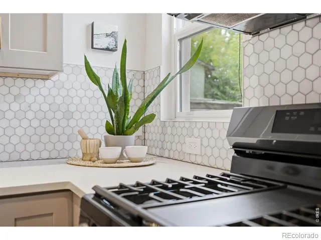 1419 S Acoma Street Denver, CO 80223
