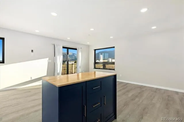 16555 Cathy Lynne Court Buena Vista, CO 81211