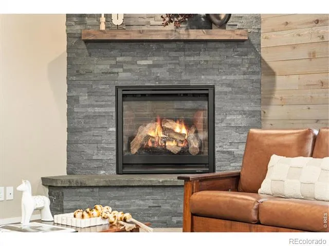 2882 Thunderview Drive Timnath, CO 80547