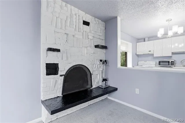 1008 Corona Street #501 Denver, CO 80218