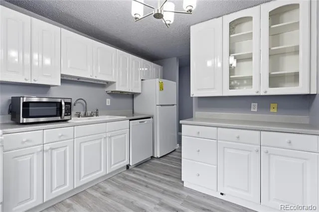 1008 Corona Street #501 Denver, CO 80218