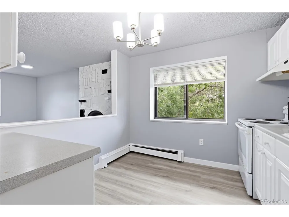 1008 Corona Street #501 Denver, CO 80218
