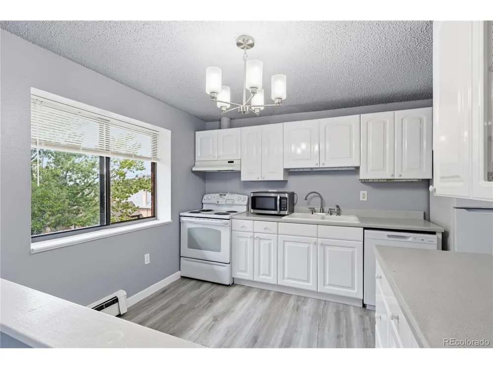 1008 Corona Street #501 Denver, CO 80218