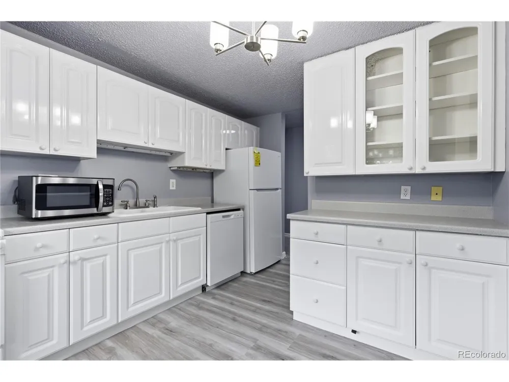 1008 Corona Street #501 Denver, CO 80218