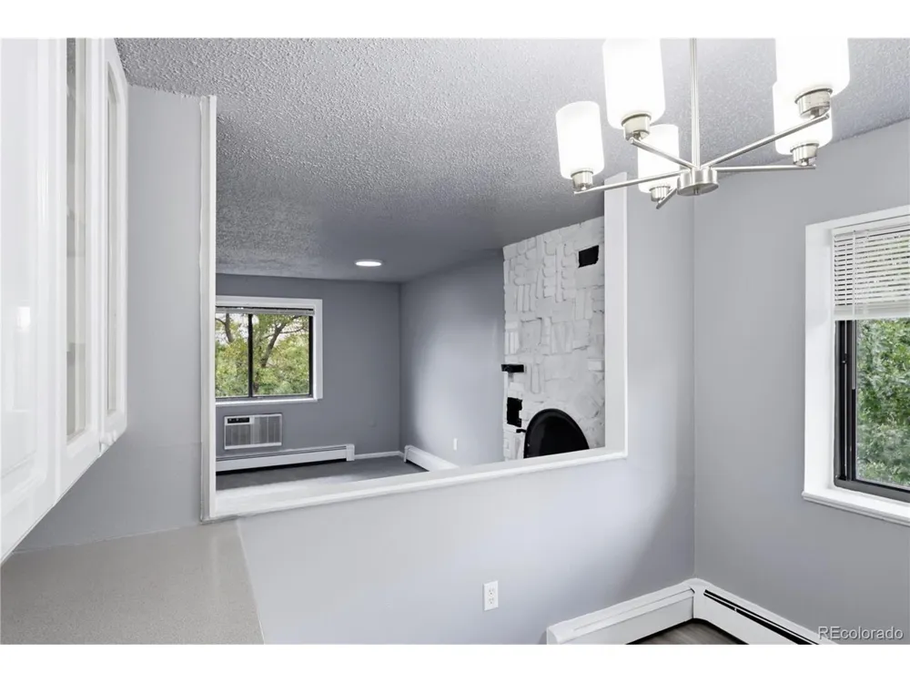1008 Corona Street #501 Denver, CO 80218