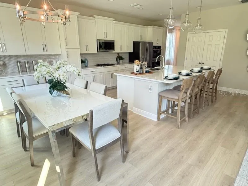 5288 OBSIDIAN GATE DRIVE Mount Dora, FL 32757