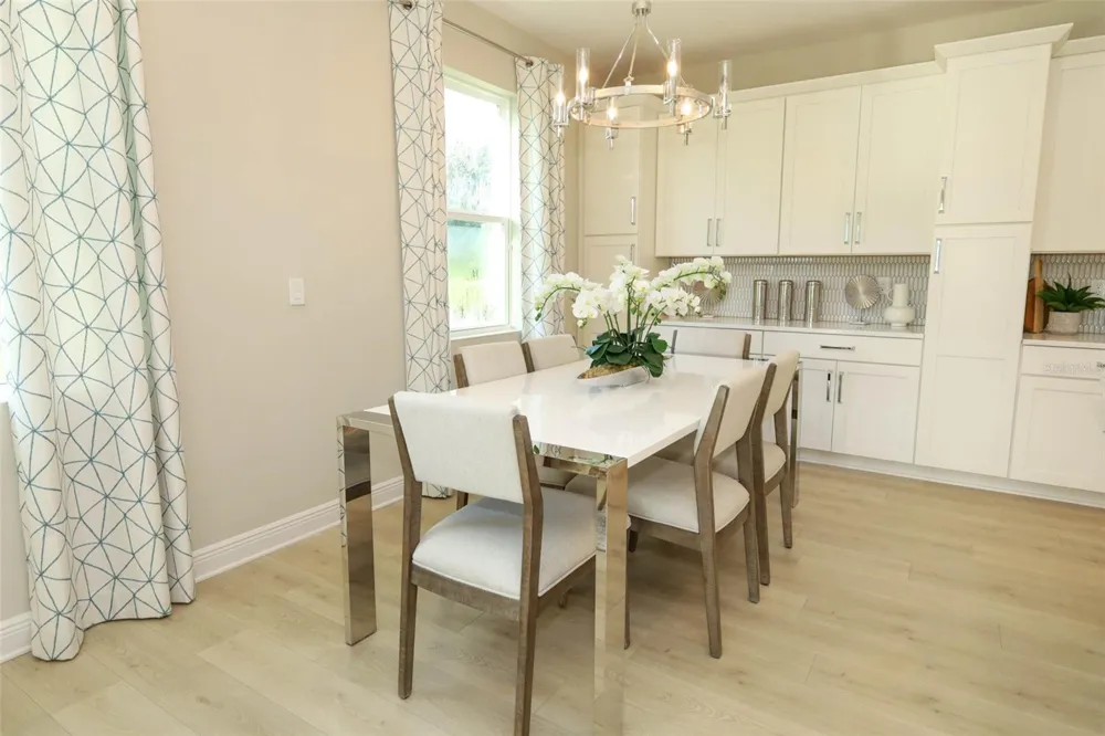 5288 OBSIDIAN GATE DRIVE Mount Dora, FL 32757