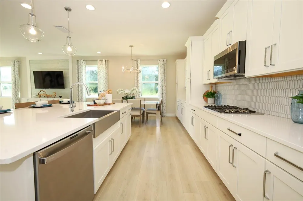 5288 OBSIDIAN GATE DRIVE Mount Dora, FL 32757