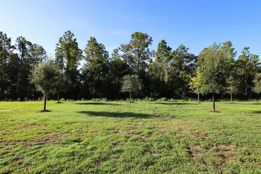 5288 OBSIDIAN GATE DRIVE Mount Dora, FL 32757