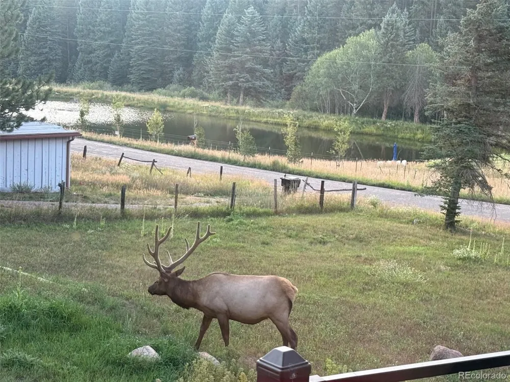 26955 Stagecoach Road Conifer, CO 80433