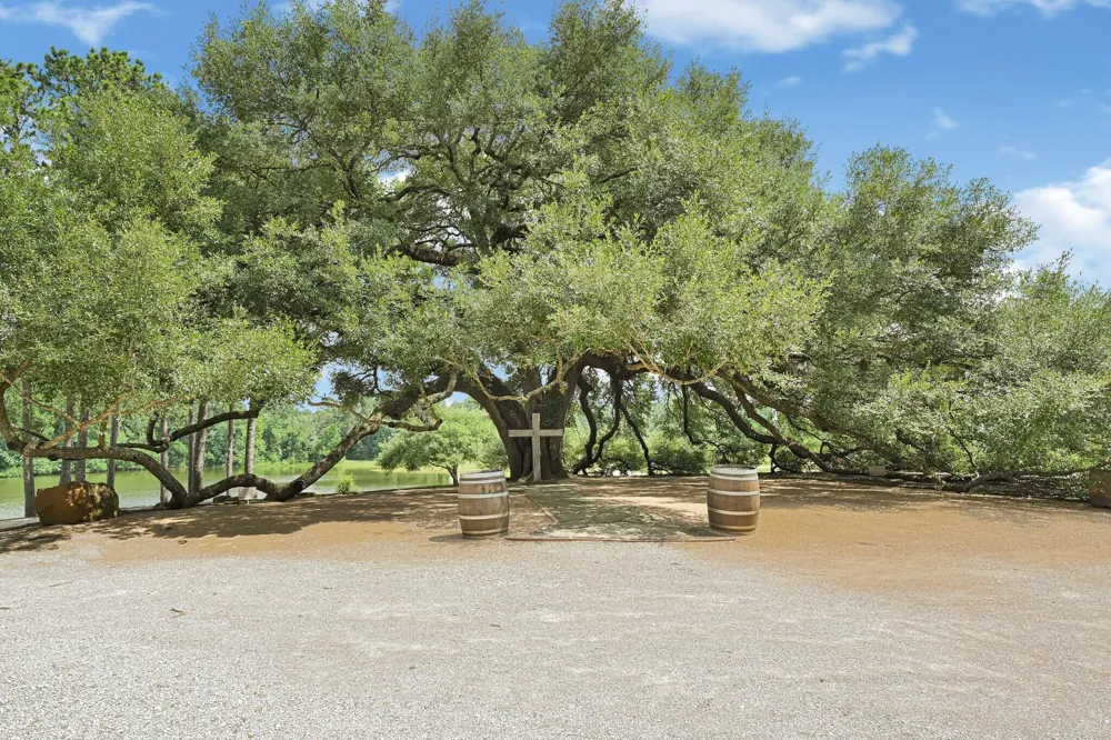 1951 S Pine Lake Road Montgomery, TX 77316