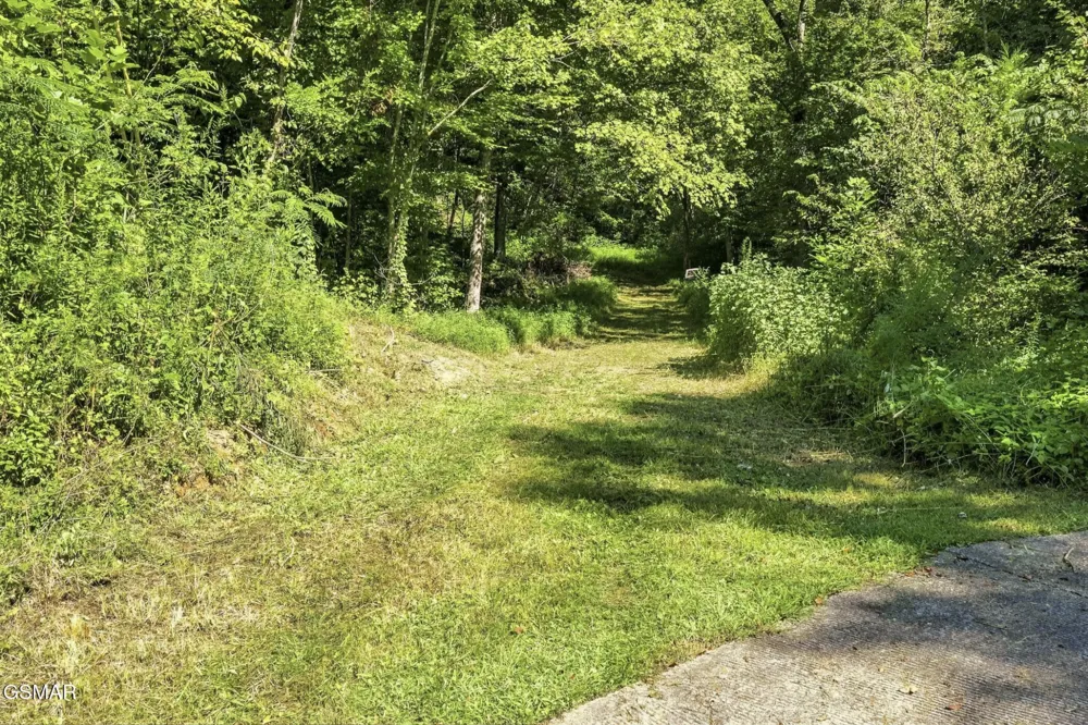 2453 Lower Rinehart Road Dandridge, TN 37725