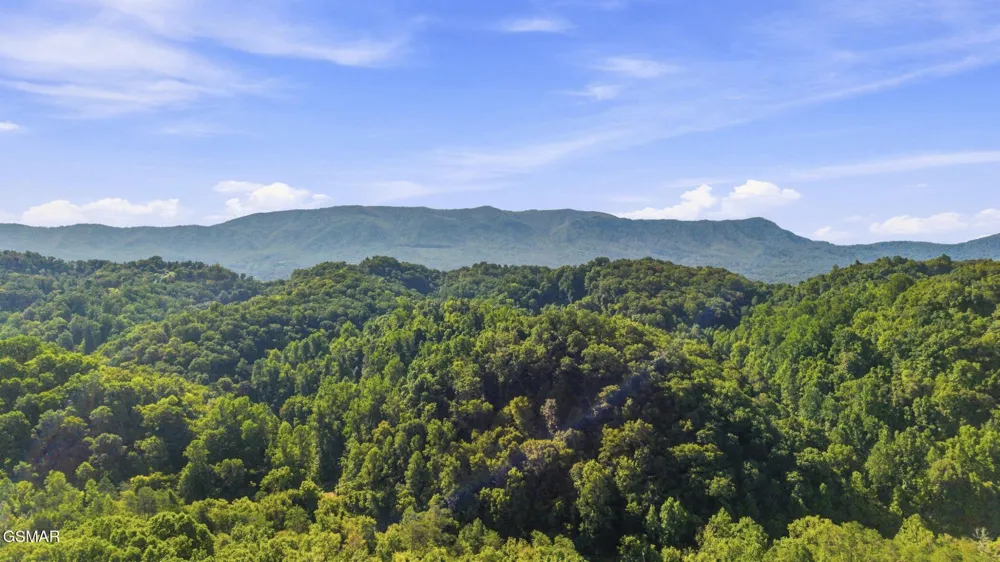 2453 Lower Rinehart Road Dandridge, TN 37725