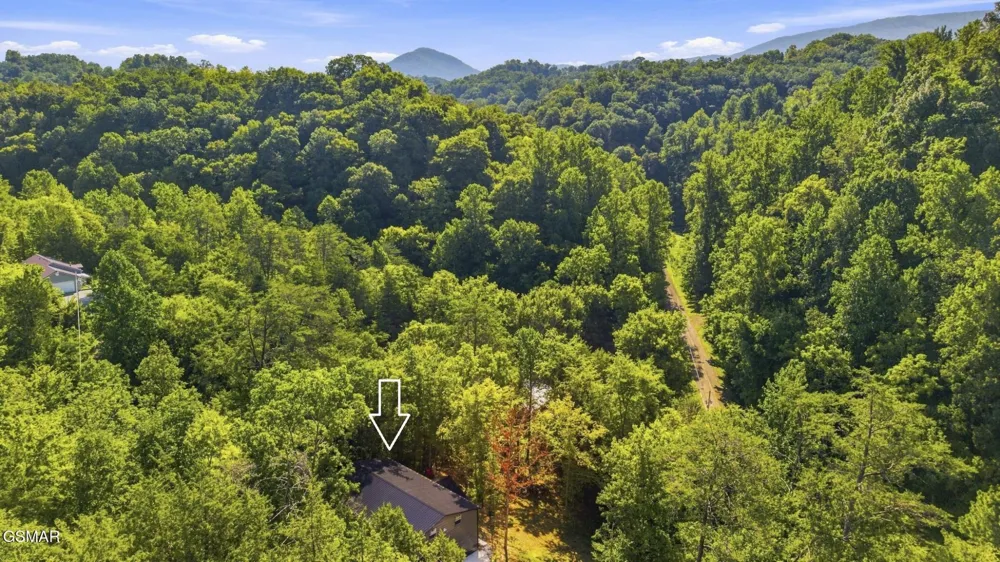 2453 Lower Rinehart Road Dandridge, TN 37725