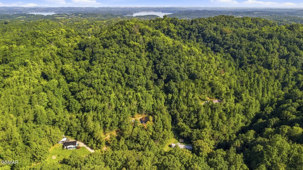 2453 Lower Rinehart Road Dandridge, TN 37725