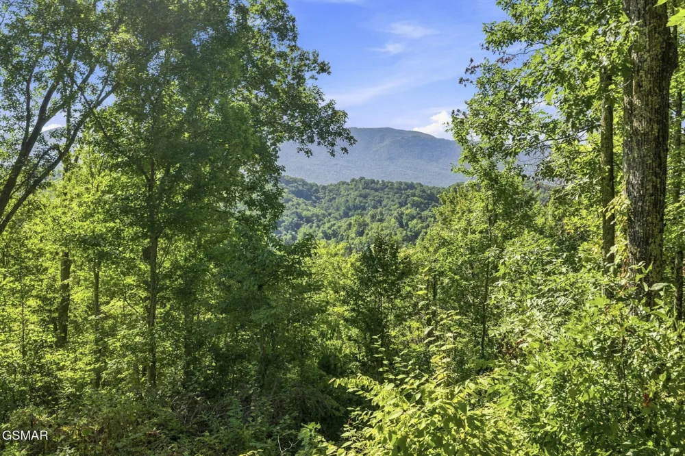 2453 Lower Rinehart Road Dandridge, TN 37725
