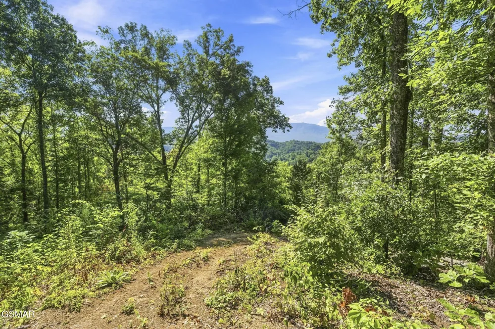 2453 Lower Rinehart Road Dandridge, TN 37725