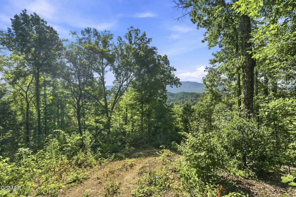 2453 Lower Rinehart Road Dandridge, TN 37725