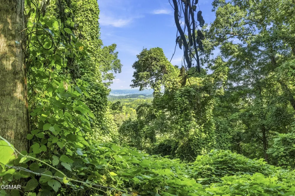 2453 Lower Rinehart Road Dandridge, TN 37725