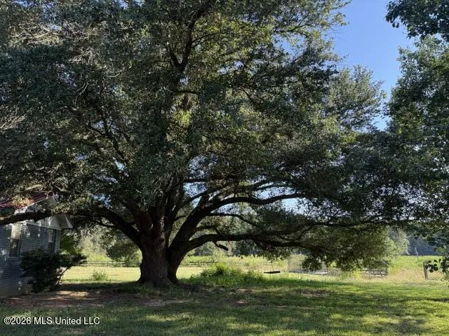 1680 Union Ridge Road Noxapater, MS 39346