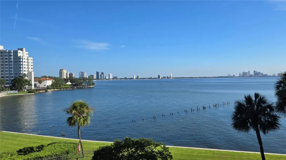 5020 BAYSHORE BOULEVARD #403 Tampa, FL 33611