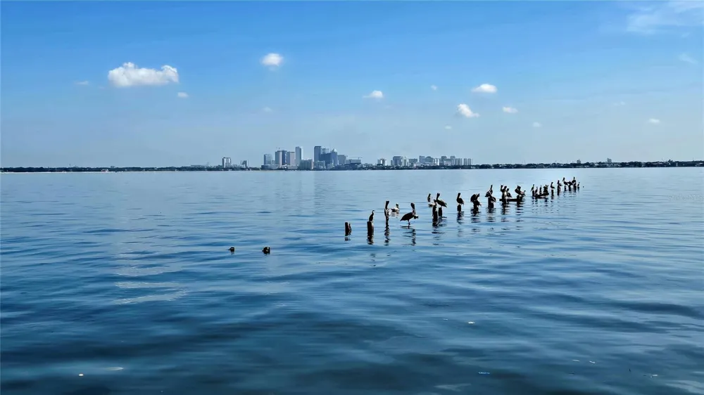 5020 BAYSHORE BOULEVARD #403 Tampa, FL 33611