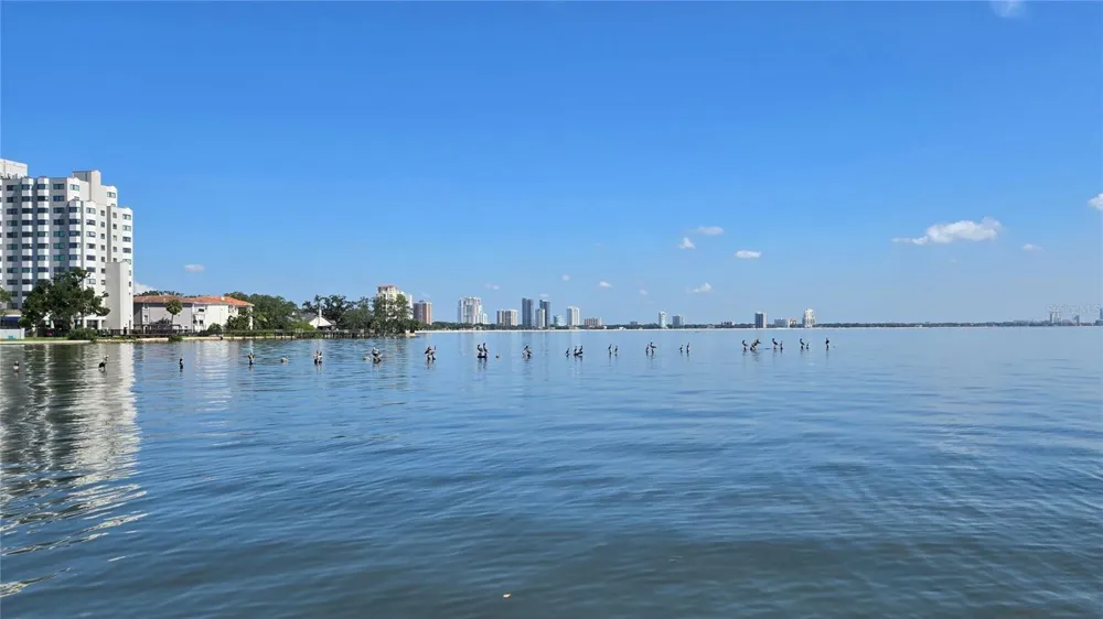 5020 BAYSHORE BOULEVARD #403 Tampa, FL 33611
